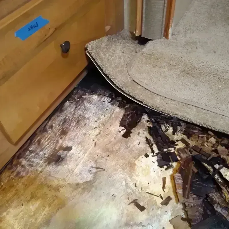 Wood Floor Water Damage in Eagle, CO